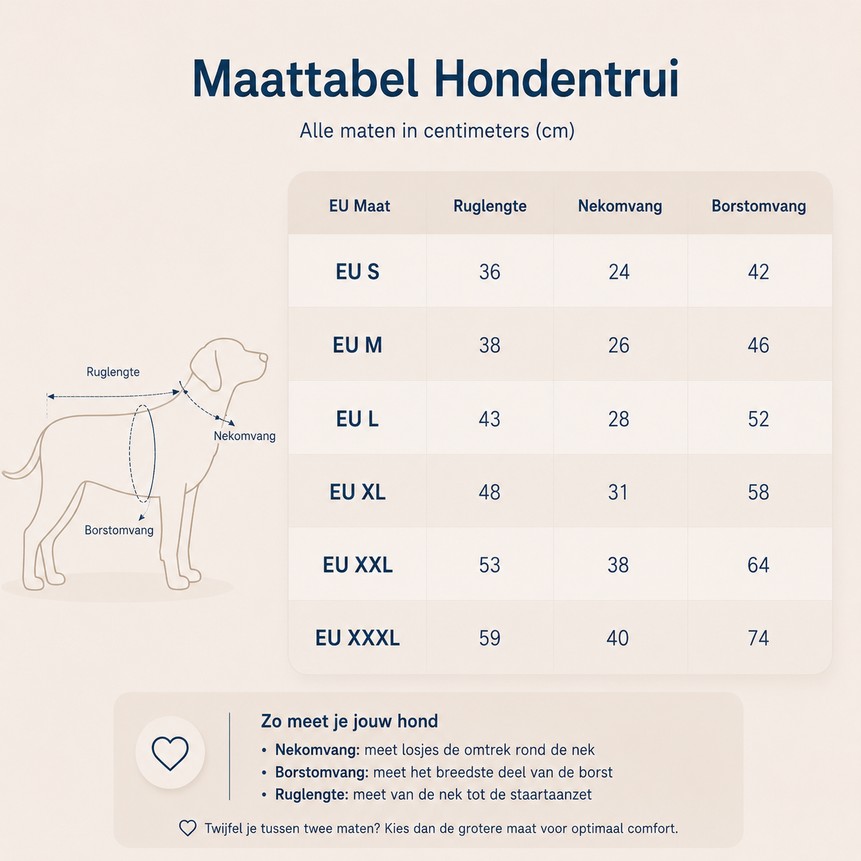 Windhond coltrui hond — warm bij dunne vacht en kou