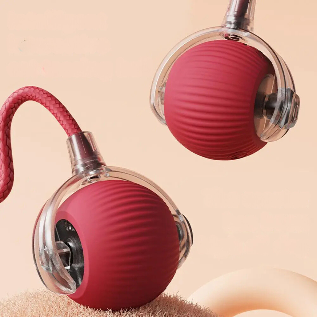 ChaseBall™ - De interactieve speelbal die verveling doorbreekt