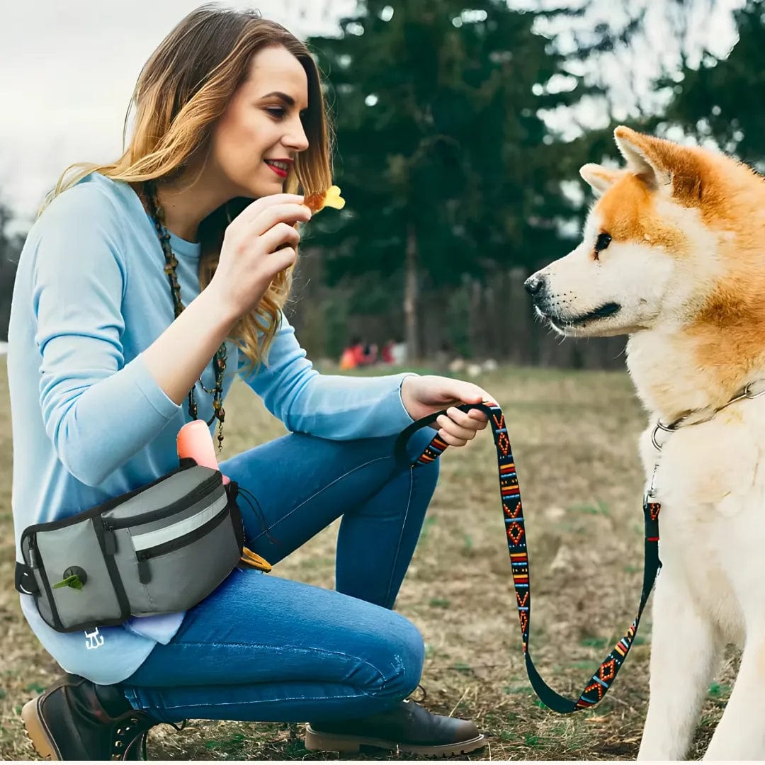 Beloningstas voor hond