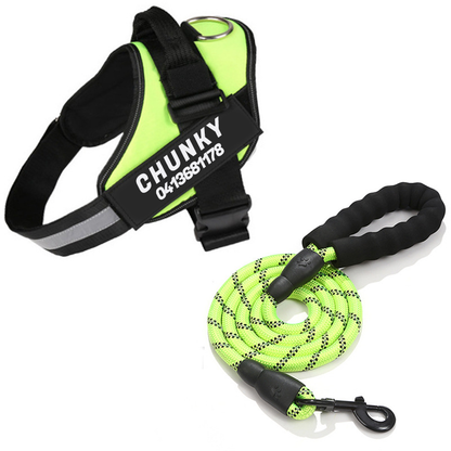 PullGuard anti-trek harnas - Gepersonaliseerd met jouw naam