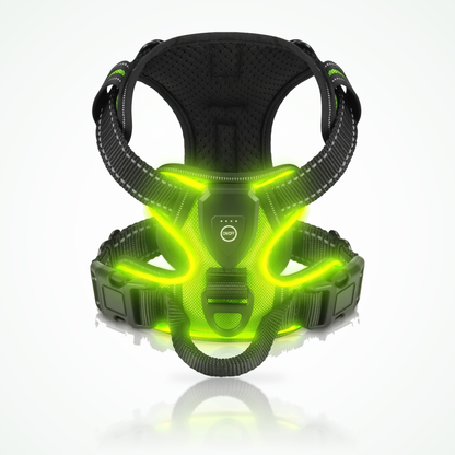 Oplaadbaar lichtgevend hondentuig in groen met LED-verlichting, bedieningsmodule, D-ring en handvat