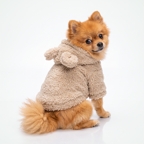 Fleece hondentrui met capuchon in beige, met teddy-oortjes, gedragen door een pomeriaan die over haar schouder kijkt