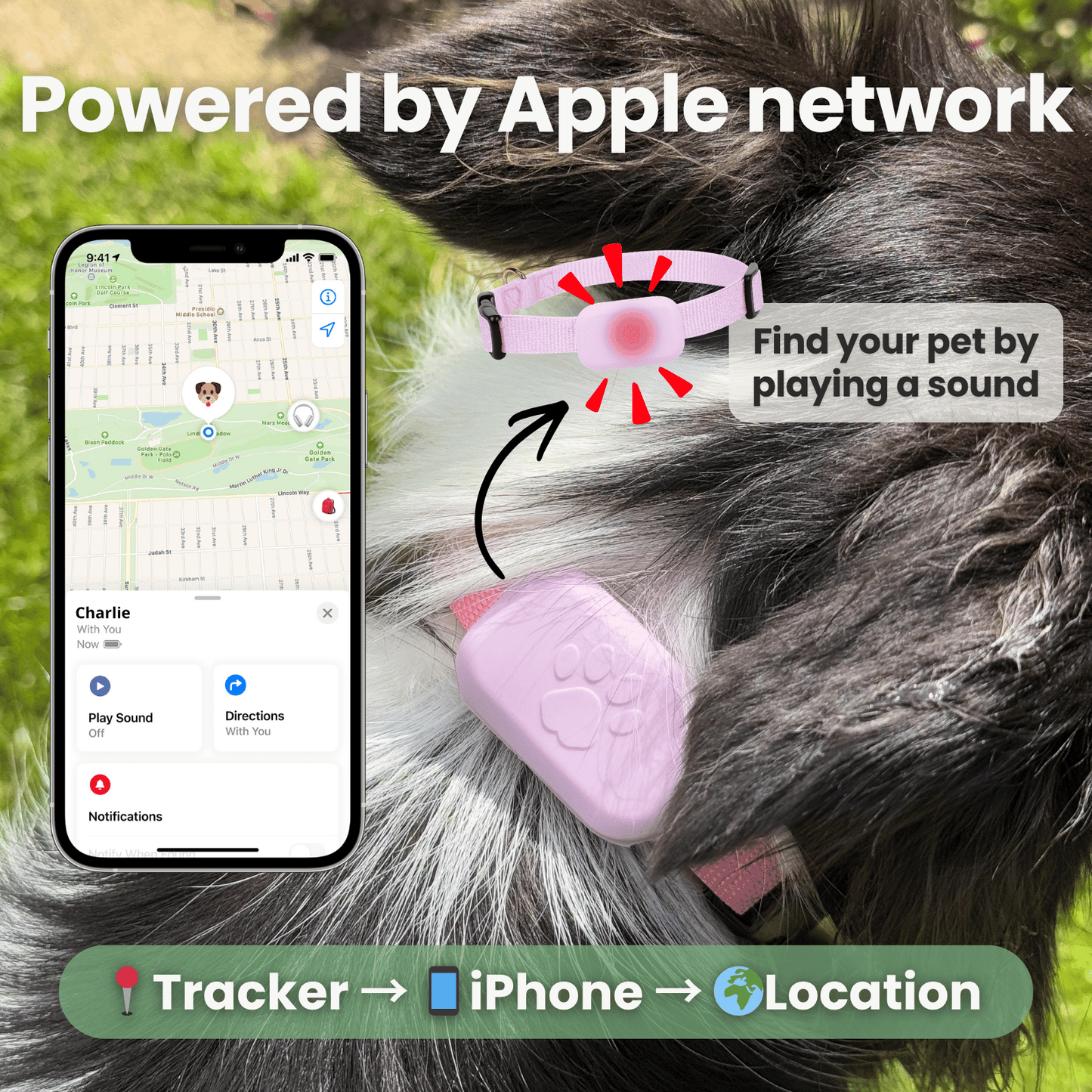 PetTrack GPS-tracker — CR2032 knoopcelbatterij vervangen eenvoudig