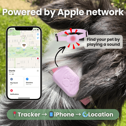 PetTrack GPS-tracker — CR2032 knoopcelbatterij vervangen eenvoudig