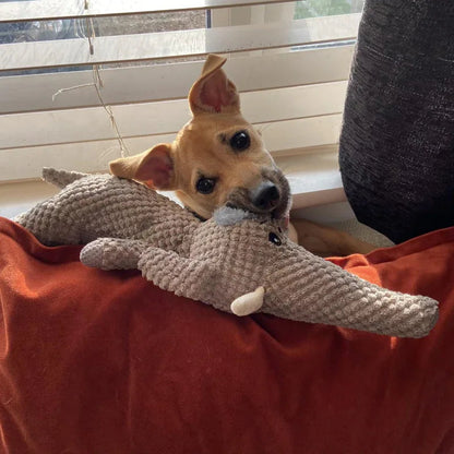 PlushHunt pluchen hondenspeelgoed — hond draagt wolf figuur in zijn bek