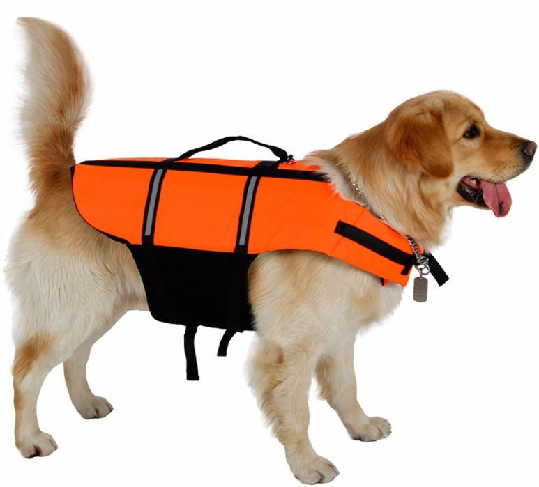SwimSafe zwemvest hond — oranje reddingsvest met handvat