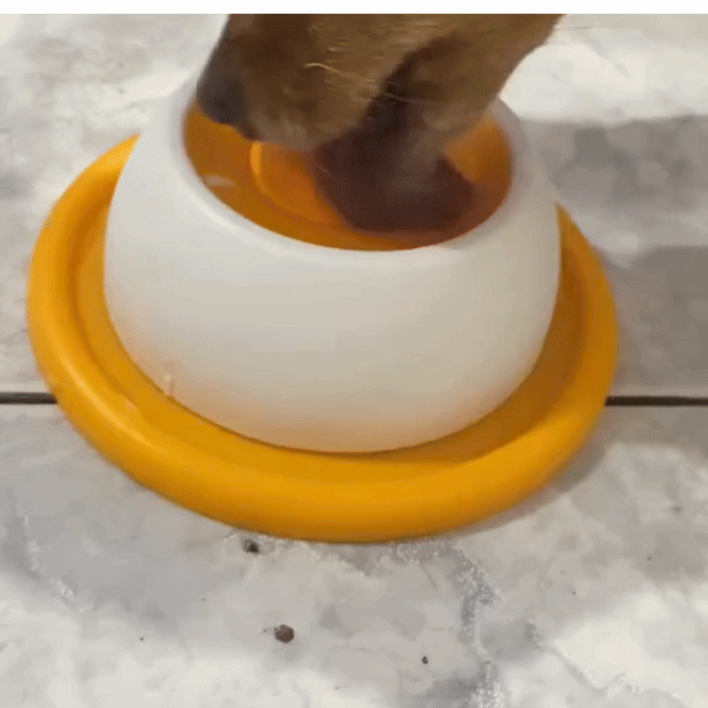 LickLoop - Rustiger eten, minder stress, betere spijsvertering