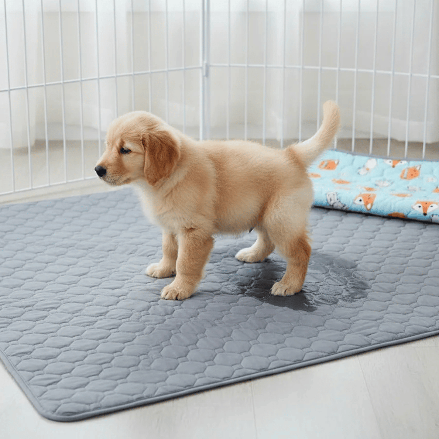 Wasbare plasmat hond — herbruikbare zindelijkheidsmat