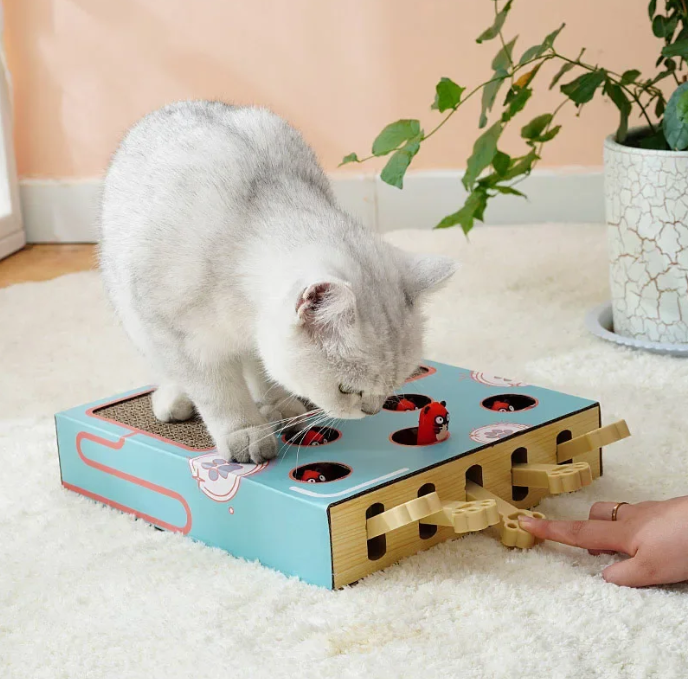 Krabmat kat met speelelementen — krabben en spelen in één