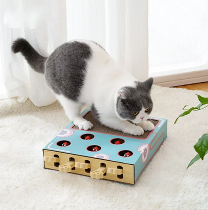 Krabmat kat met speelelementen — krabben en spelen in één