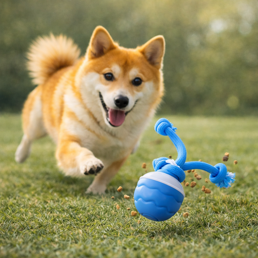 HuntBall - Interactief spel voor je hond, ook zonder jou.