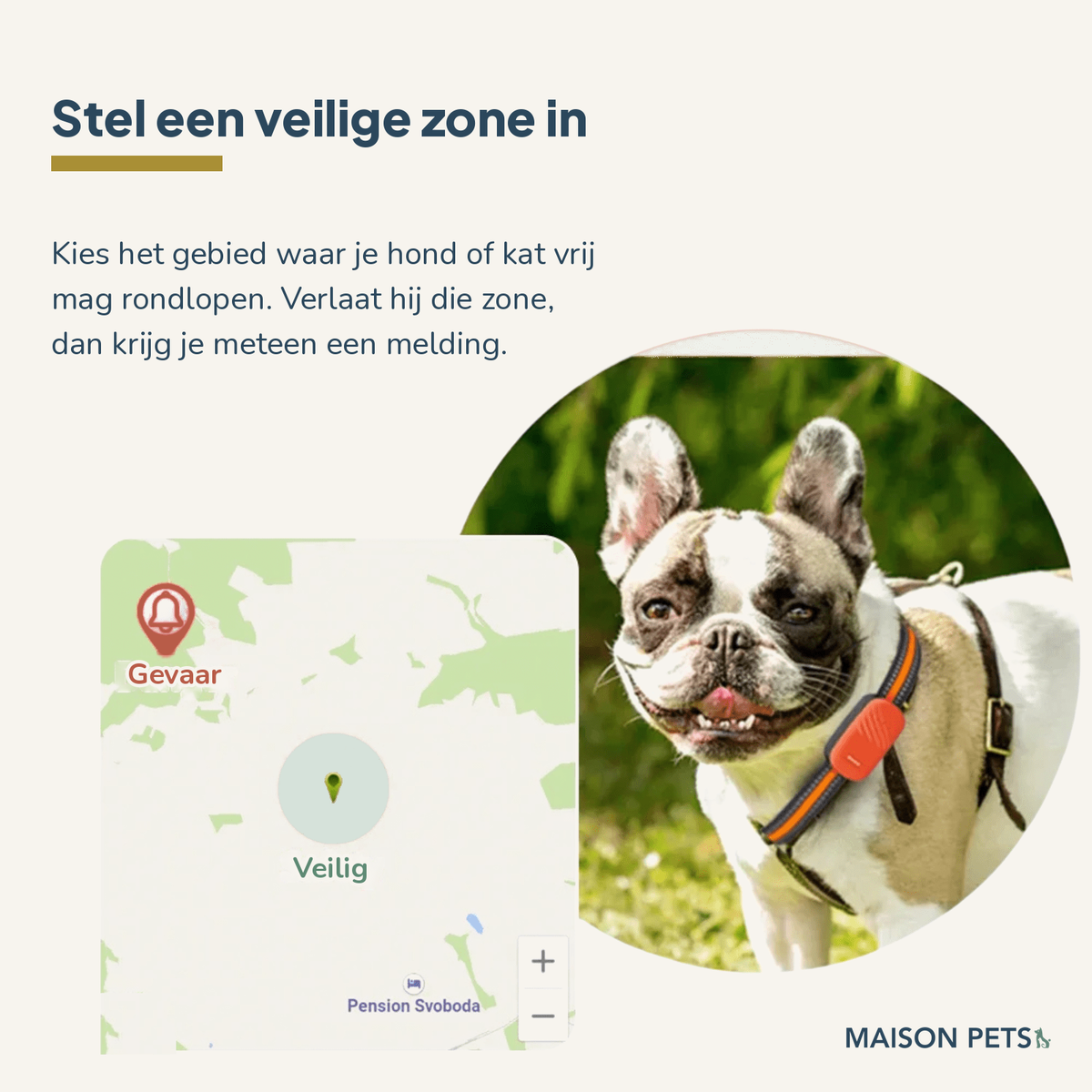 4G GPS-tracker voor hond en kat — Franse bulldog met oranje tracker aan tuigje, kaartje met veilig- en gevaarzone