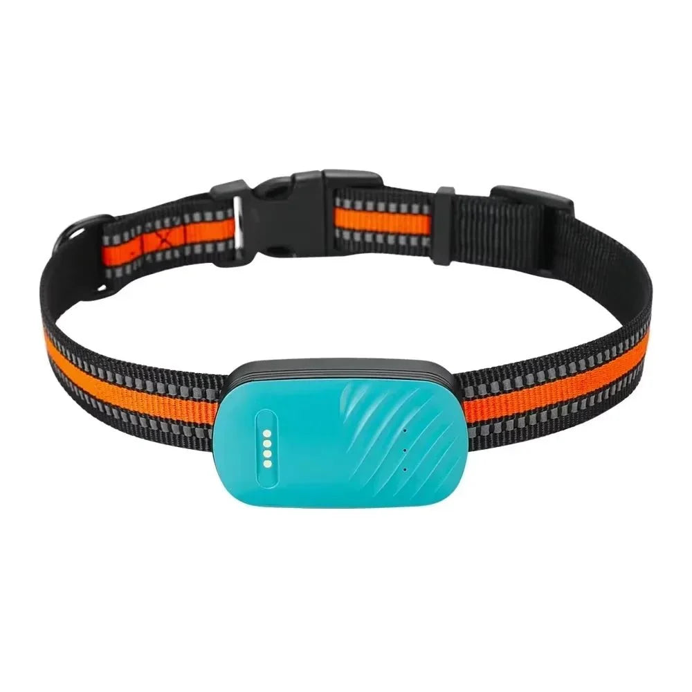 4G GPS-tracker voor hond en kat in turquoise, vooraanzicht aan de halsband