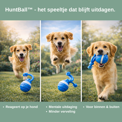 HuntBall - Interactief spel voor je hond, ook zonder jou.