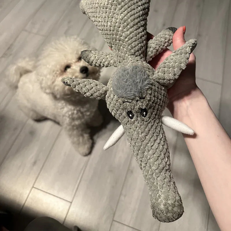 PlushHunt leeuw en olifant combi — pluchen hondenspeelgoed op witte achtergrond