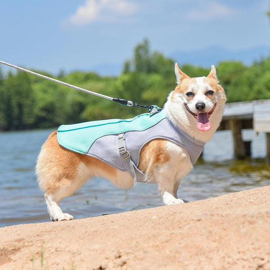 CoolVest – Koelvest hond, verkoeling via verdamping