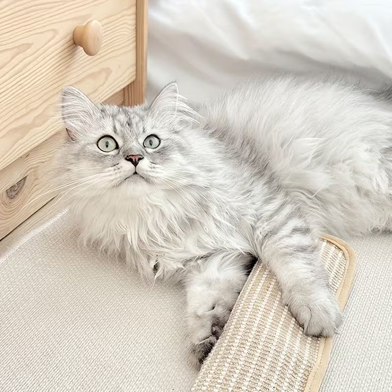 NibStick krabspeelgoed kat — langharige zilvergrijze kat speelt op zijn rug met de krabmat naast houten kast