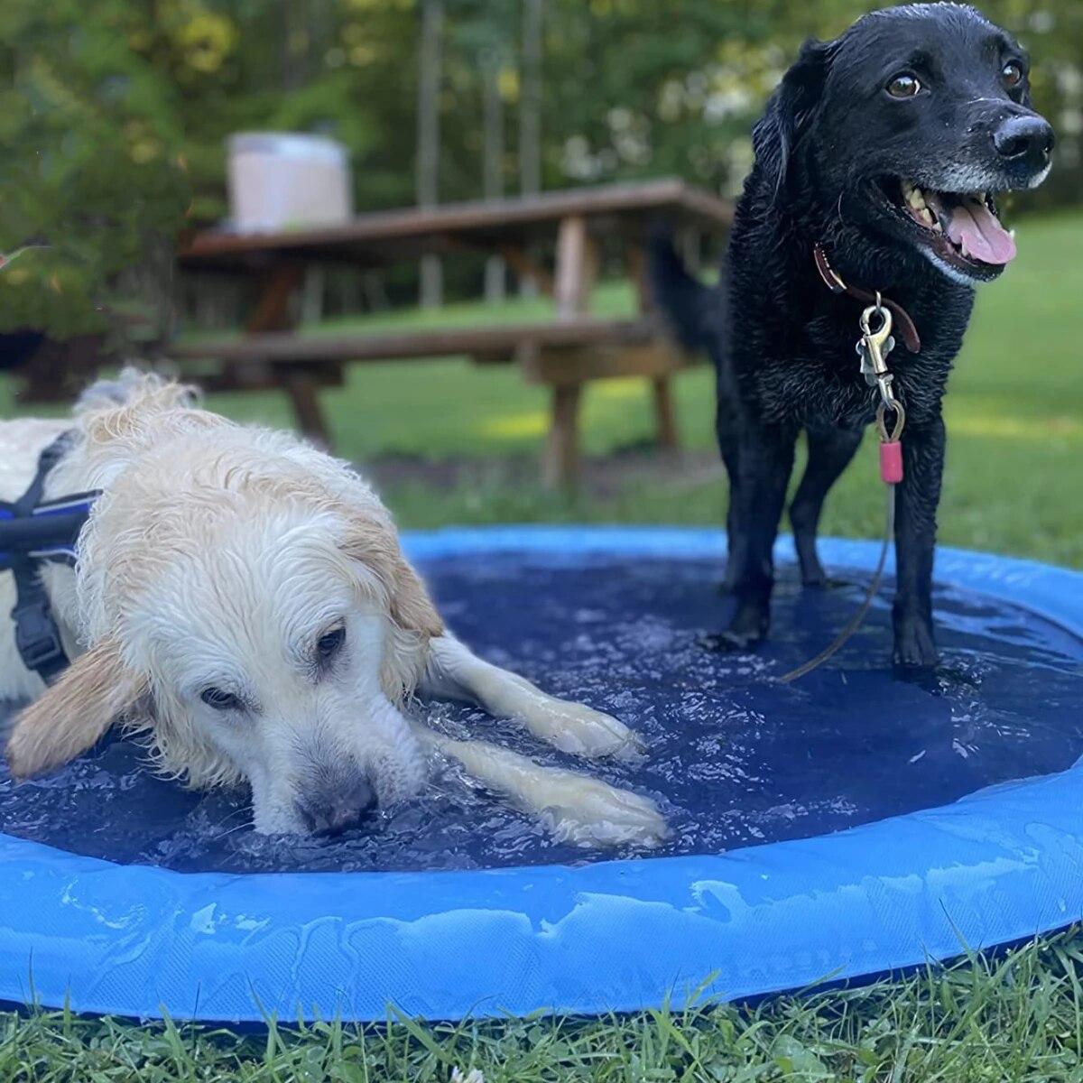 SplashPaw speelfontein- Waterpret en koelte voor jouw hond.