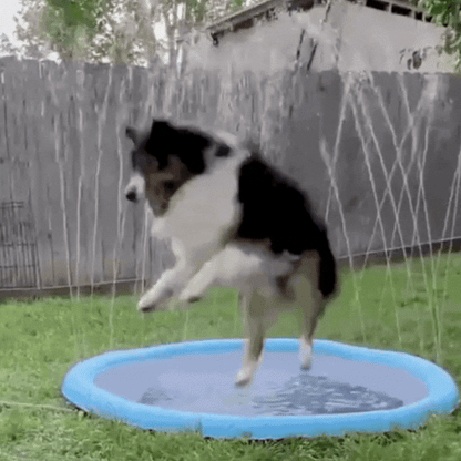SplashPaw speelfontein- Waterpret en koelte voor jouw hond.