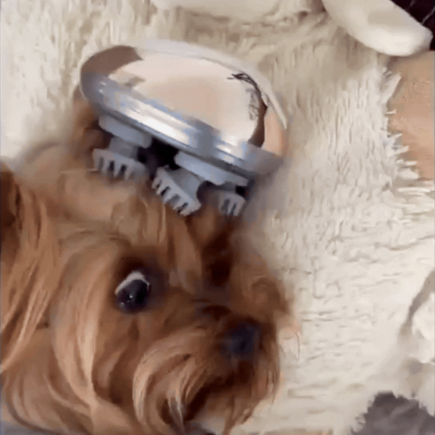 CalmRoll massageroller - Stress weg. Spieren los.