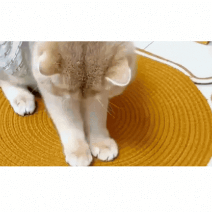 CatScratch - Krabben zonder kleerscheuren.