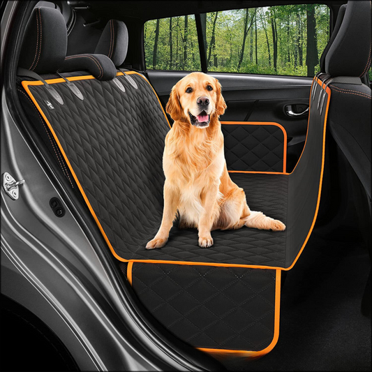 CarBuddy™ – Premium automat voor veilige en schone autoritten met je hond