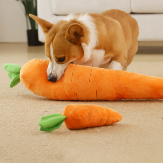 Wortel piepspeelgoed hond — corgi kauwt op de grote wortel naast de kleine maat S