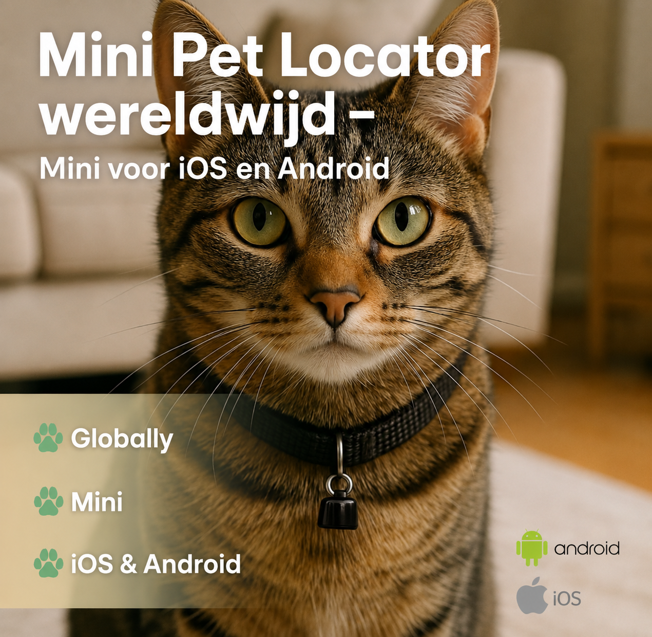 Bluetooth Tracker met Halsband voor Hond en Kat — nooit meer kwijt