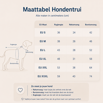 Windhond coltrui hond — warm bij dunne vacht en kou