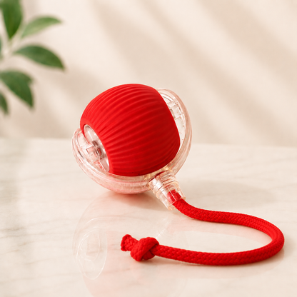 ChaseBall interactief speelgoed hond en kat — doorbreekt verveling