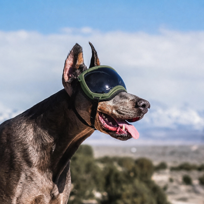 K9 Glasses hondenbril — all-weather sport- en zonnebril
