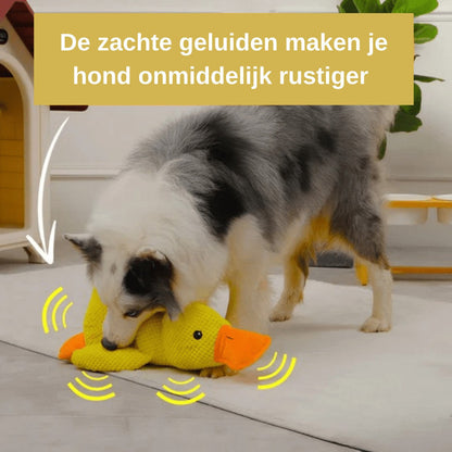 CalmiDuck antistress hondenspeelgoed geel eendenspeeltje — hond bijt en snuffelt eraan op de vloer