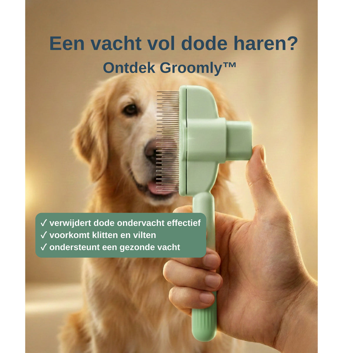 Groomly kam hond en kat gehouden voor Golden Retriever — infographic met drie voordelen voor dode ondervacht en klitten