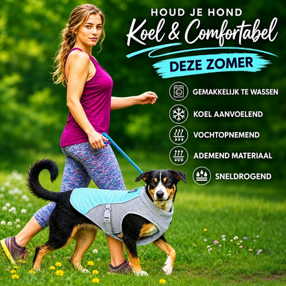 CoolVest - Houd je hond koel op warme dagen
