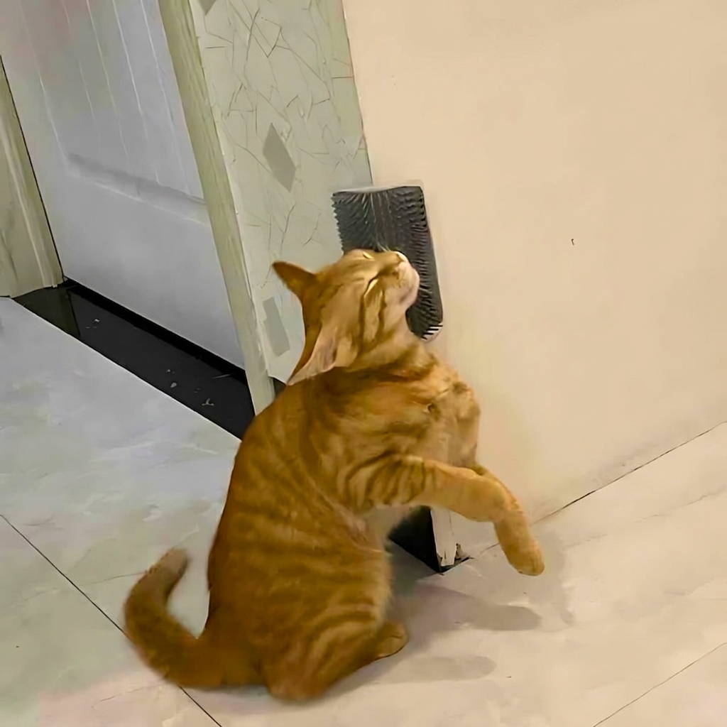 CatBrush Hoekborstel — je kat borstelt zichzelf