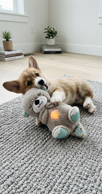 Kalmerende knuffel hond — rust bij angst en alleen zijn