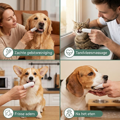 DentoWipe gebitsdoekjes — schone tanden zonder borstel, voor hond en kat