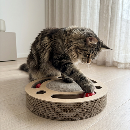Krabplank kat met ballenbaan — langharige kat tikt tegen de bal in de baan, in de woonkamer