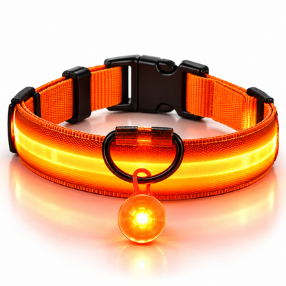 Oranje led halsband met oplichtende hanger en snelsluiting op witte achtergrond