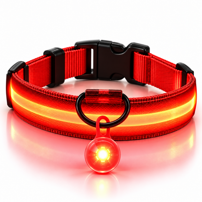 Rode led halsband met oplichtende hanger en veiligheidsgesp op witte achtergrond