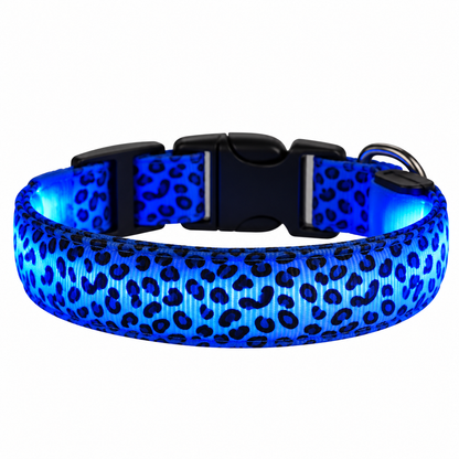 LED halsband met luipaardprint in blauw, oplichtend, met zwarte kliksluiting en metalen D-ring op witte achtergrond