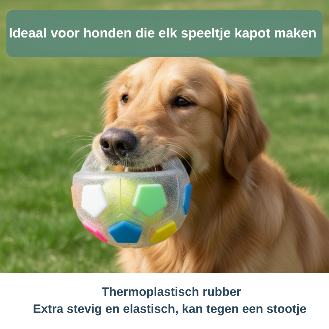 ChewBall kauwspeelgoed hond — stevig bijten, meubels blijven heel