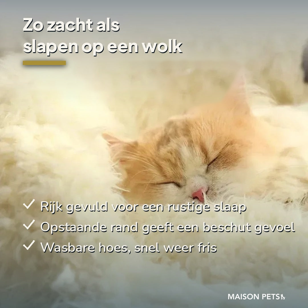 Zachte kattenmand — slapende oranje-witte kat met gesloten ogen rust op het zachte pluchen kussen