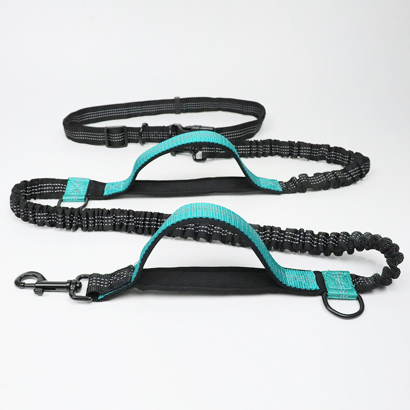 Multifunctionele hondenriem in aquagroen met heupband, bungee-handgrepen en D-ringen