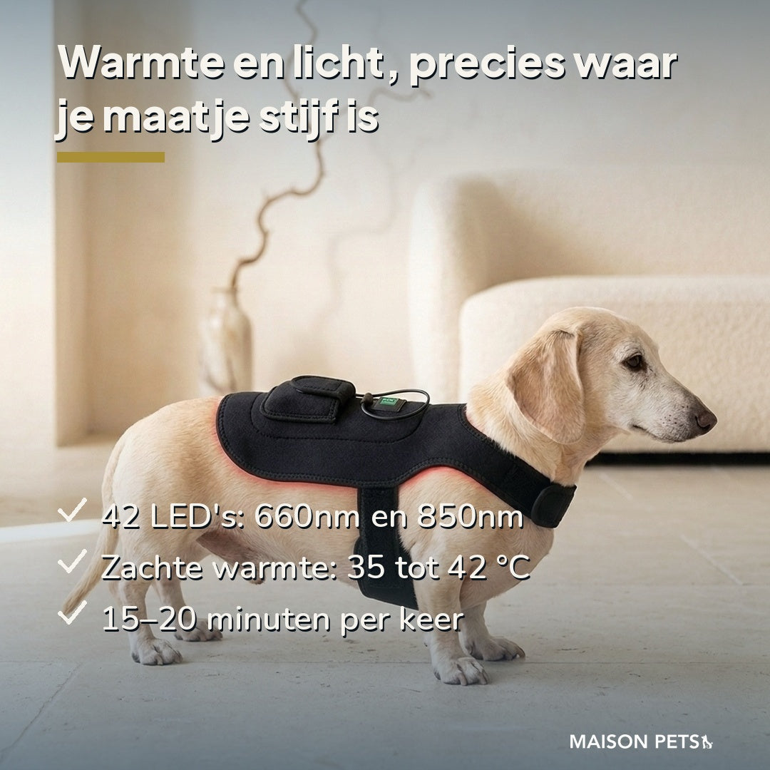 Roodlichttherapie hond en kat USP-banner — blonde teckel met vest, 42 LED's 660 en 850 nm, warmte 35–42 °C