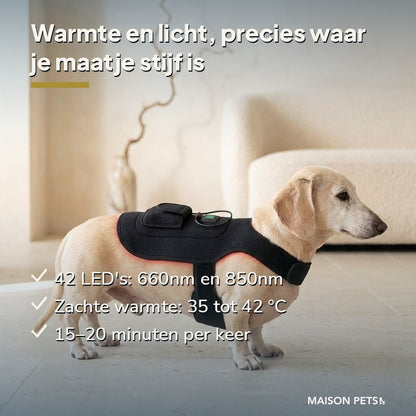 Roodlichttherapie hond en kat USP-banner — blonde teckel met vest, 42 LED's 660 en 850 nm, warmte 35–42 °C