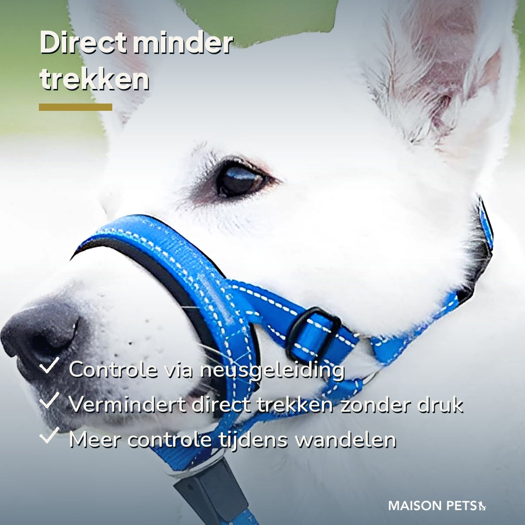 Anti-trek hoofdharnas hond — controle via neusgeleiding, minder trekken zonder druk