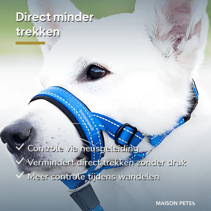 Anti-trek hoofdharnas hond — controle via neusgeleiding, minder trekken zonder druk