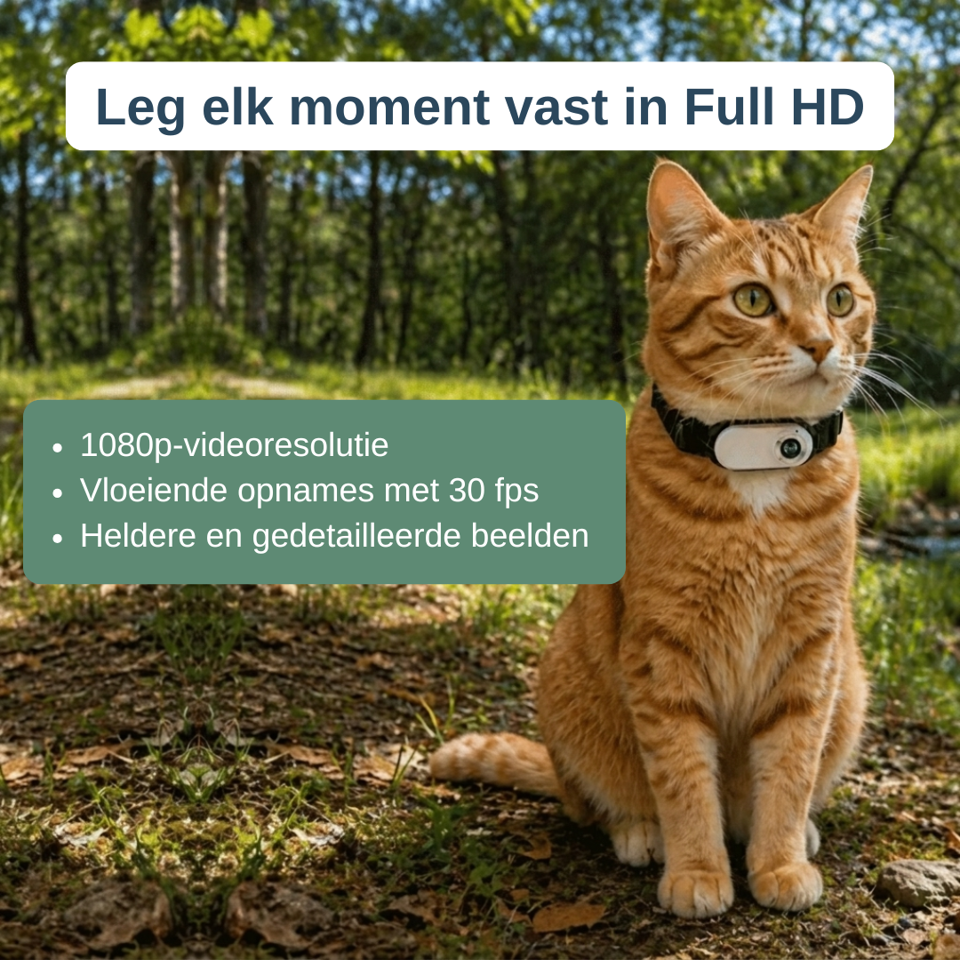 Halsbandcamera voor kat en hond — zie waar je maatje naartoe gaat