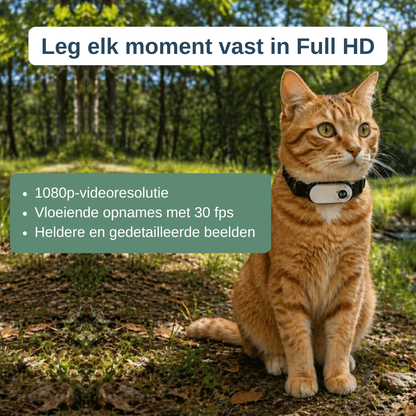 Halsbandcamera voor kat en hond — zie waar je maatje naartoe gaat